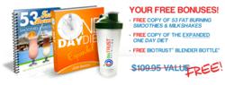 1 Day Diet Leptin Reset